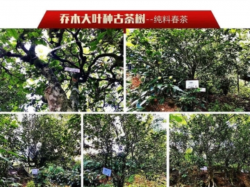 �ն���ѹ����ɢ�������ָ��ã�